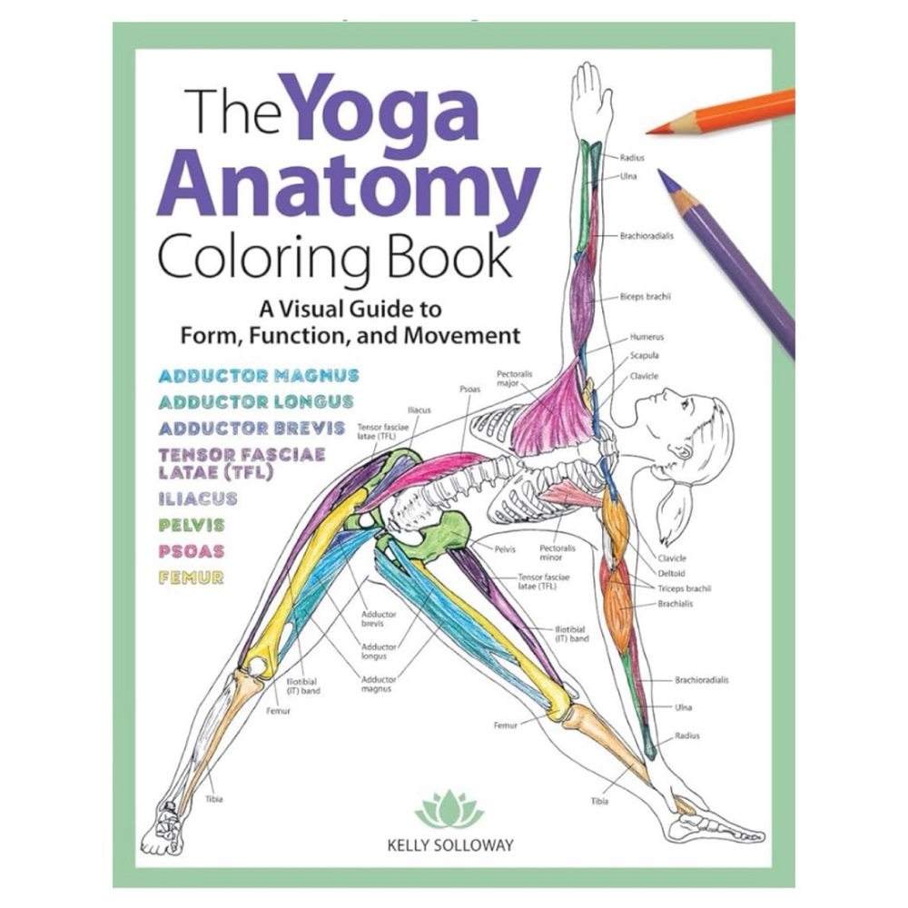🌸3 for 2🌸 NEW! Yoga Anatomy Colouring Book